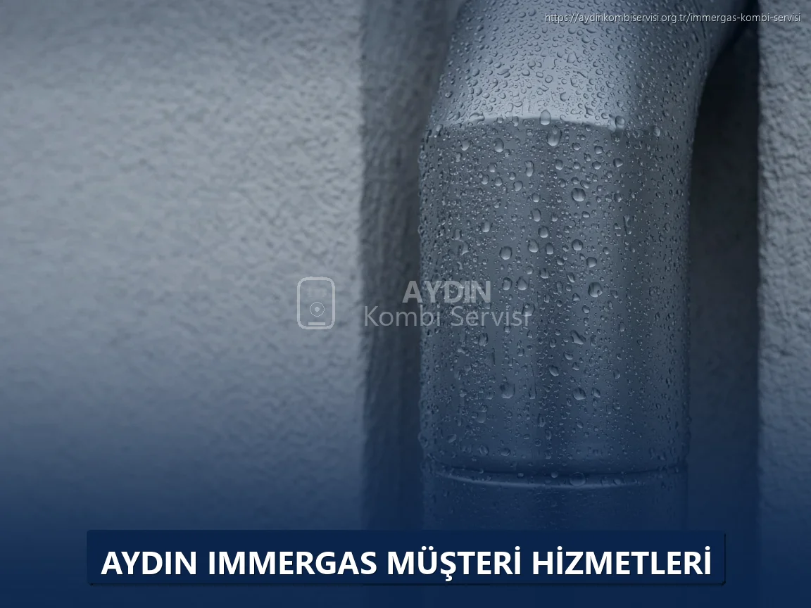 Aydın Immergas Müşteri Hizmetleri